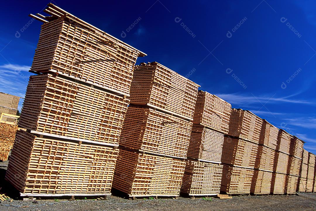 Indústria madeireira no estado de Santa Catarina, Brasil.