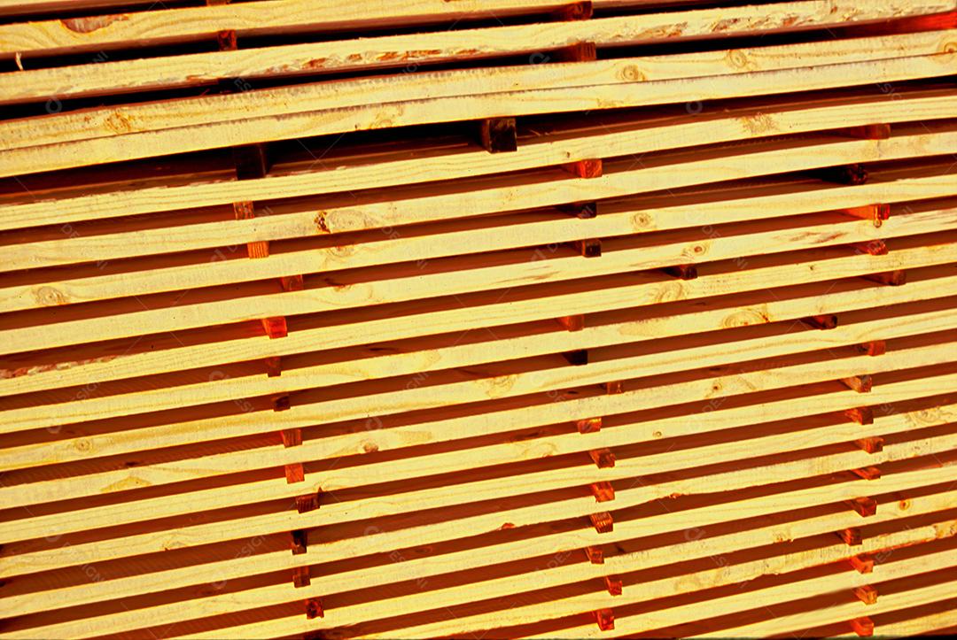 Indústria madeireira no estado de Santa Catarina, Brasil.