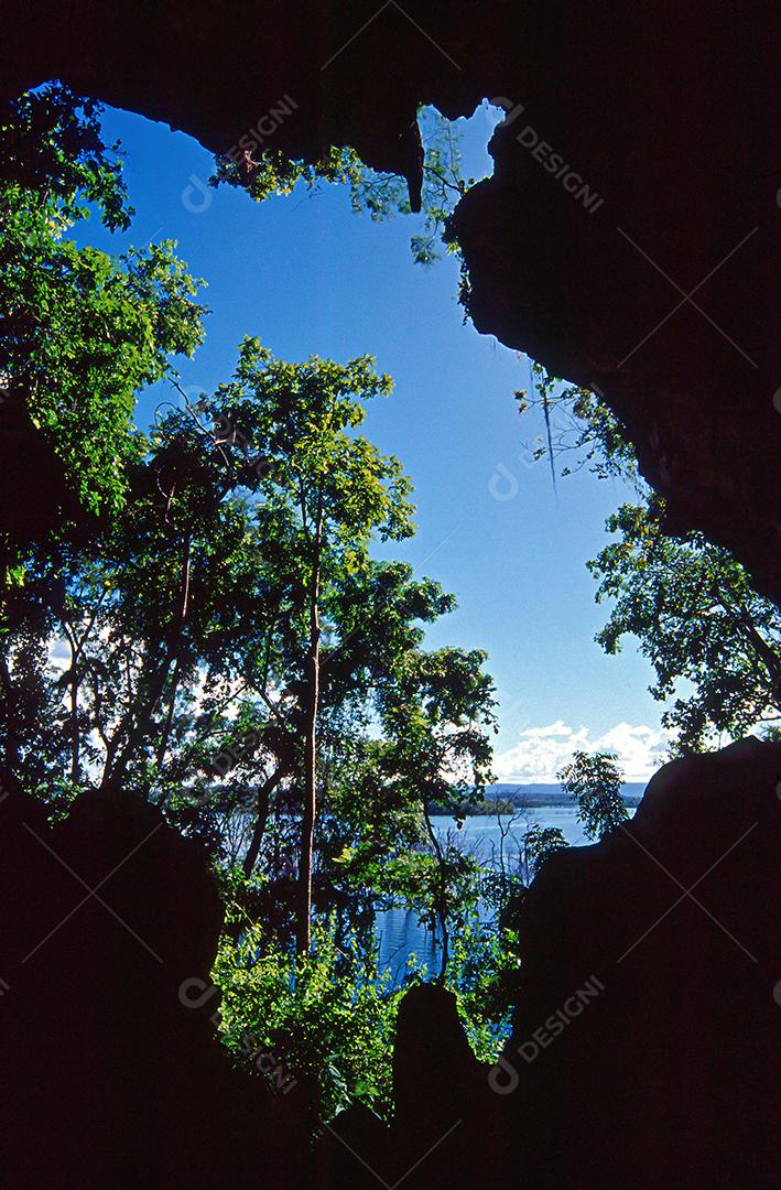 Matas e matas preservadas dentro de áreas brasileiras, com muita vegetação verde, preservando o meio ambiente.