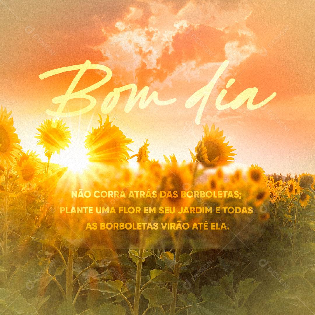 Frase Motivacional Bom dia Não Corra Atrás das Borboletas Social Media PSD Editável