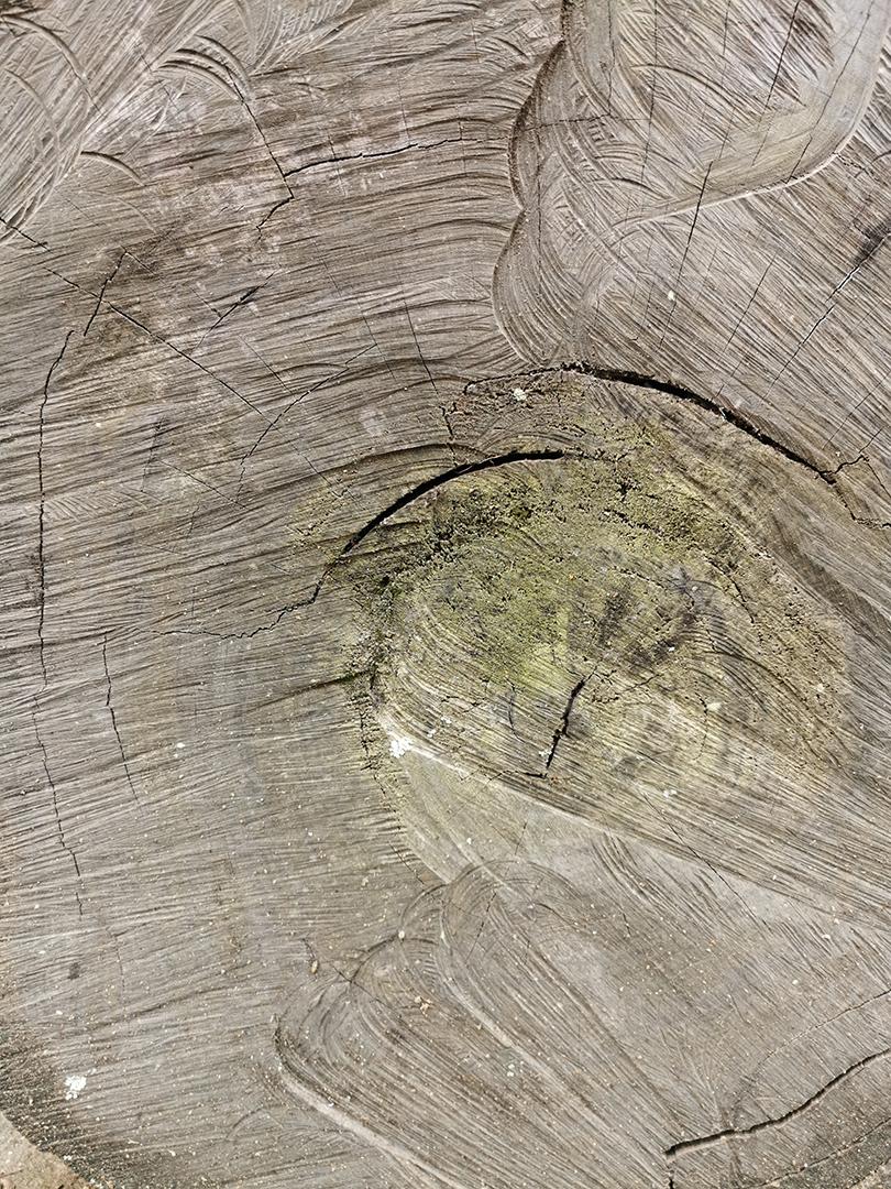 vista de perto da textura de madeira vintage.