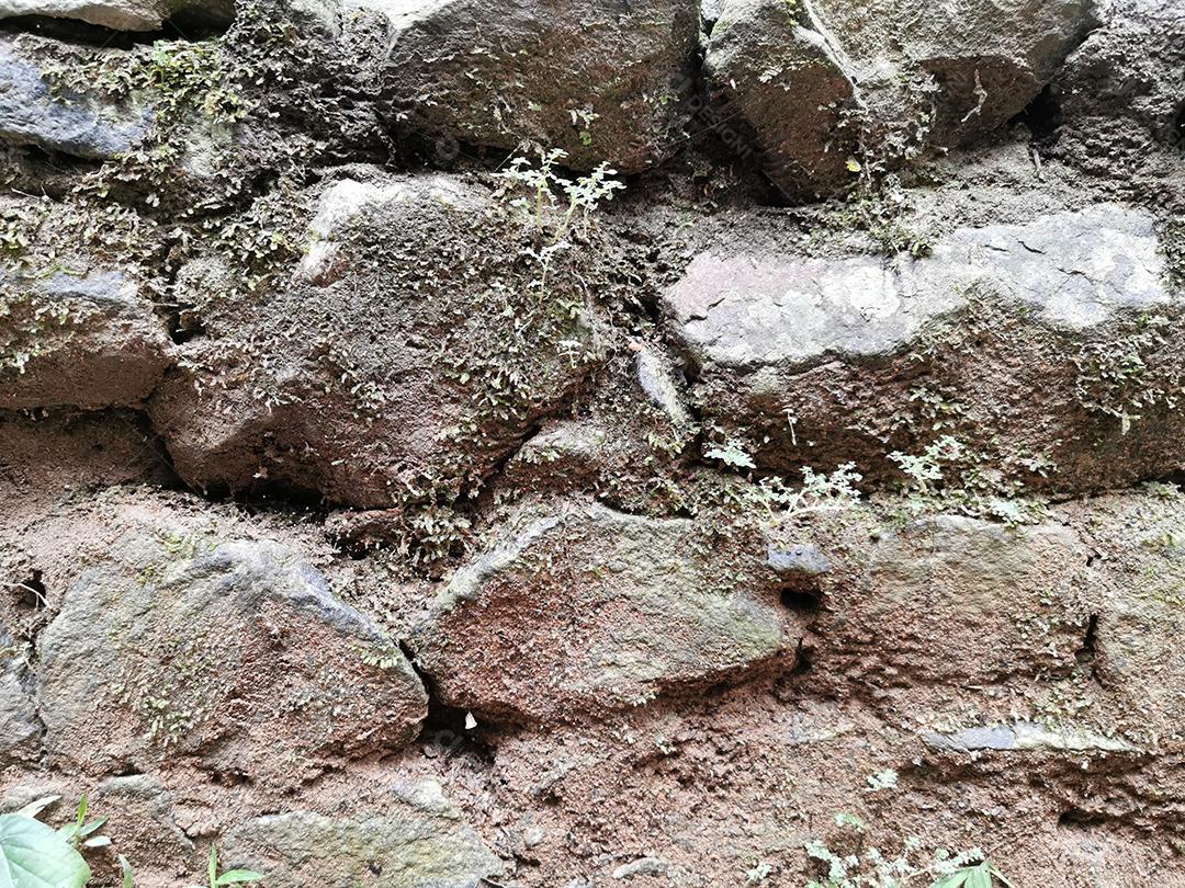 vista próxima da textura de pedras com musgo.