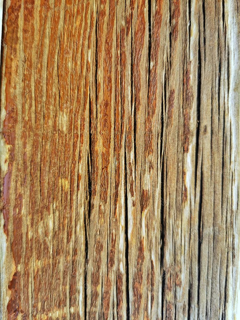 Quadro completo de prancha de madeira vintage..