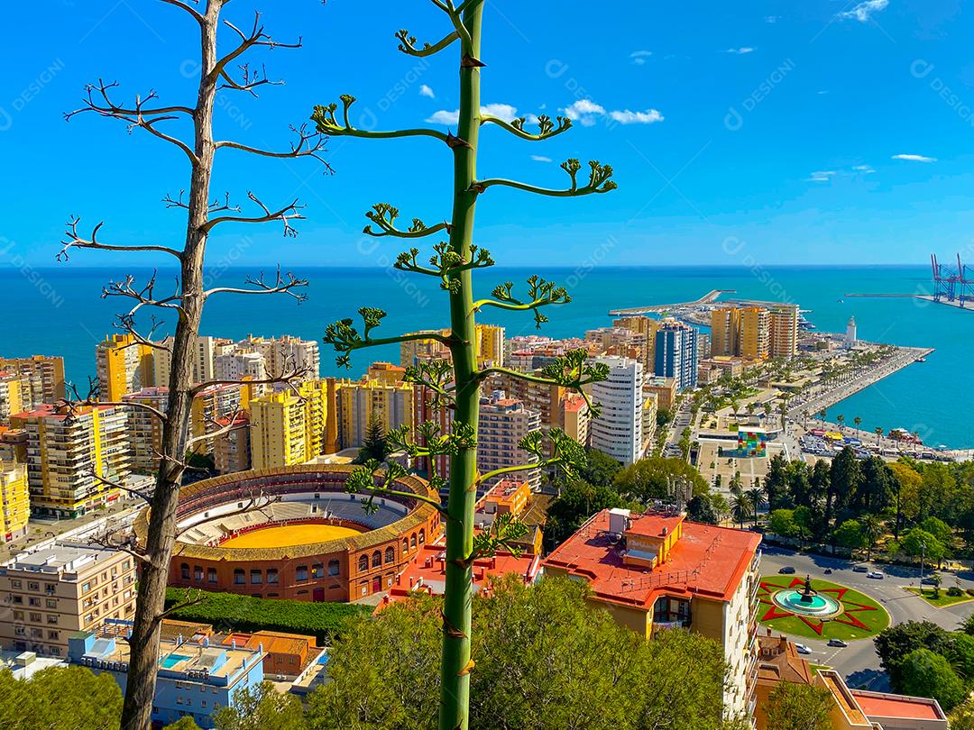 Vista de alto ângulo do Bulring da cidade de Málaga no verão.