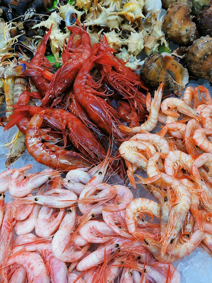 Quadro completo de diferentes tipos de frutos do mar.