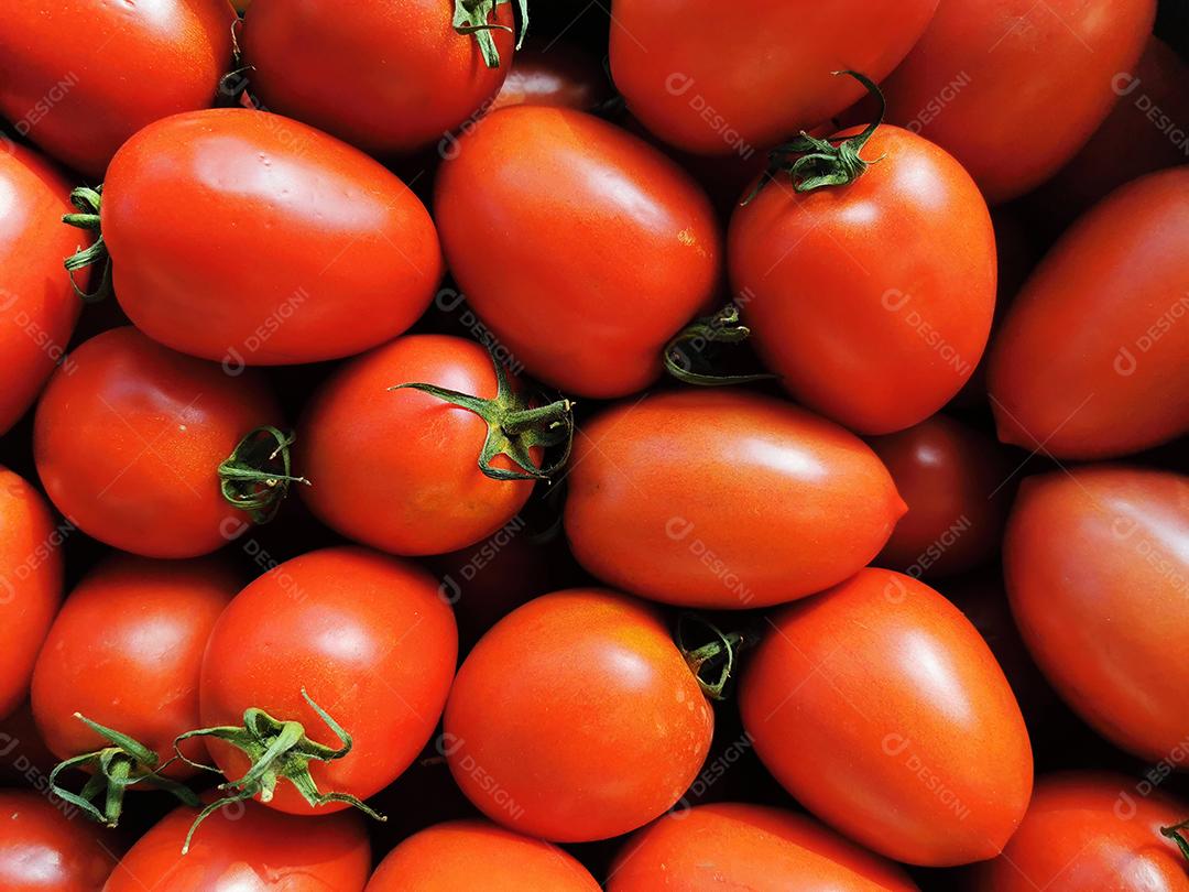 Quadro completo de tomates espanhóis vermelhos.