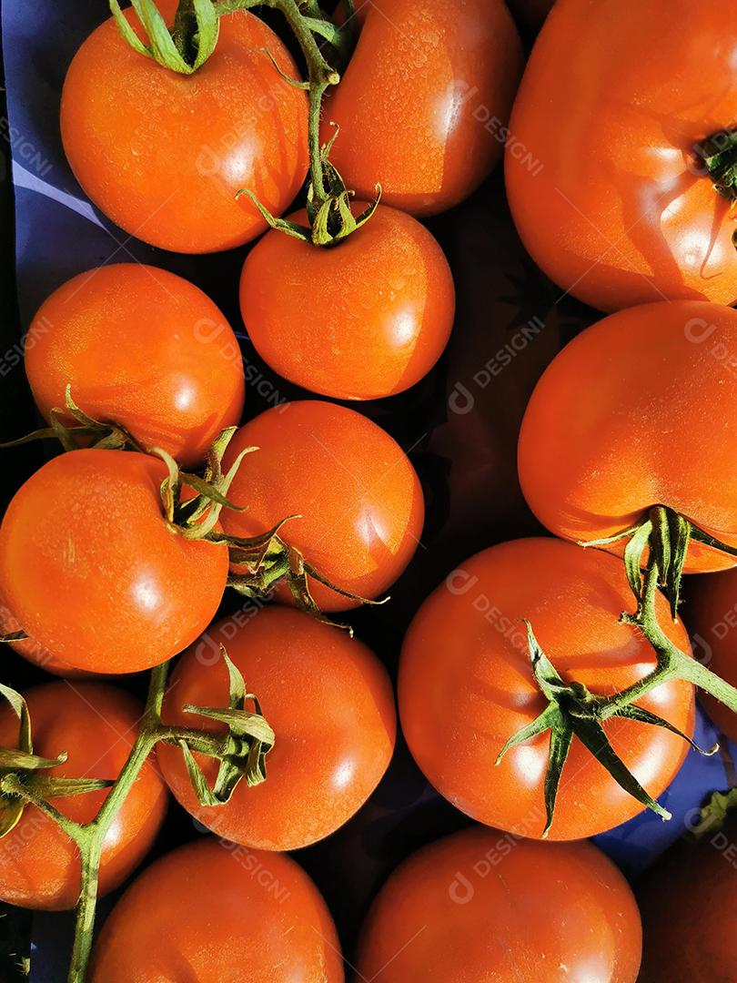 Quadro completo de tomates espanhóis vermelhos.