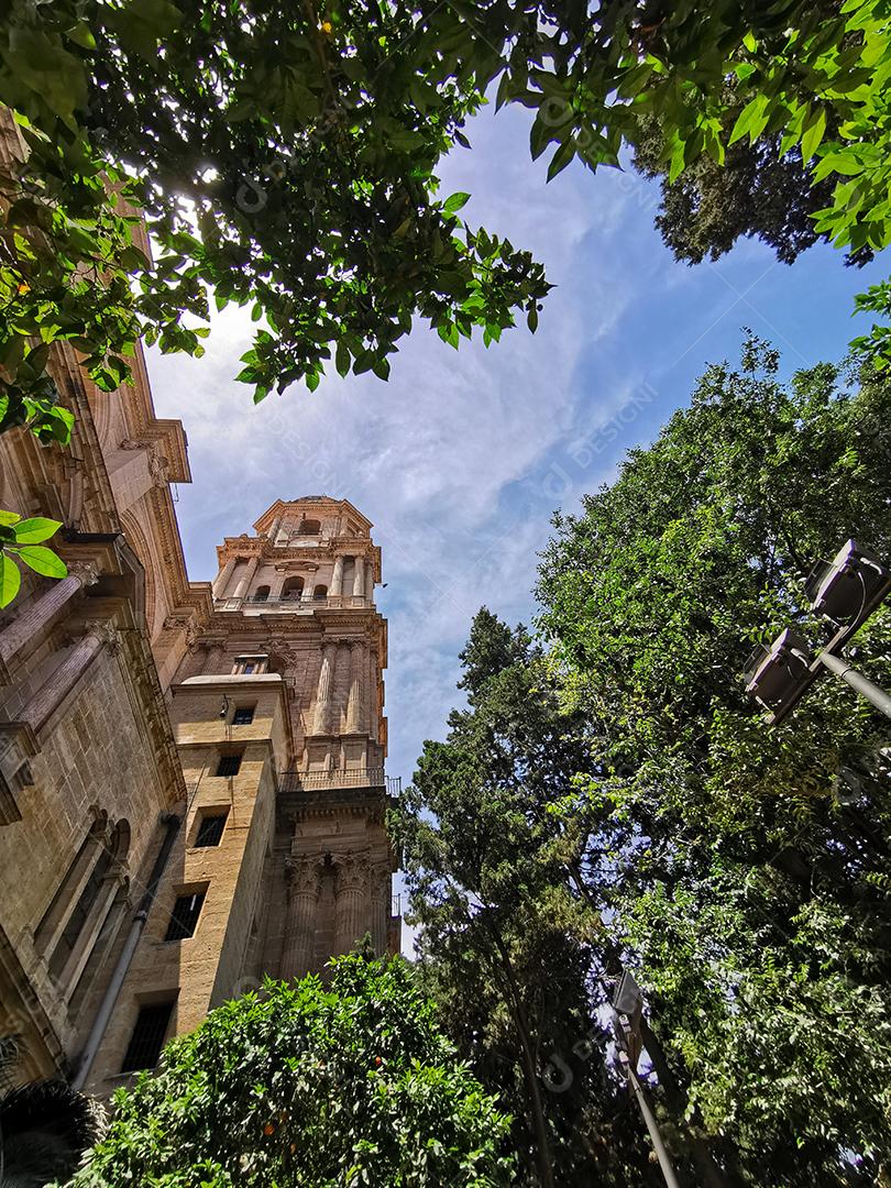Torre sineira da Catedral da Encarnação através de arbustos em Málaga, Espanha