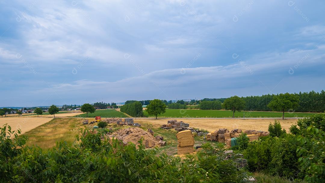 Bela paisagem vista da janela do trem