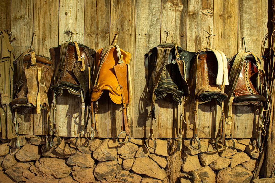 Várias selas e estribos de couro para cavalos pendurados no w