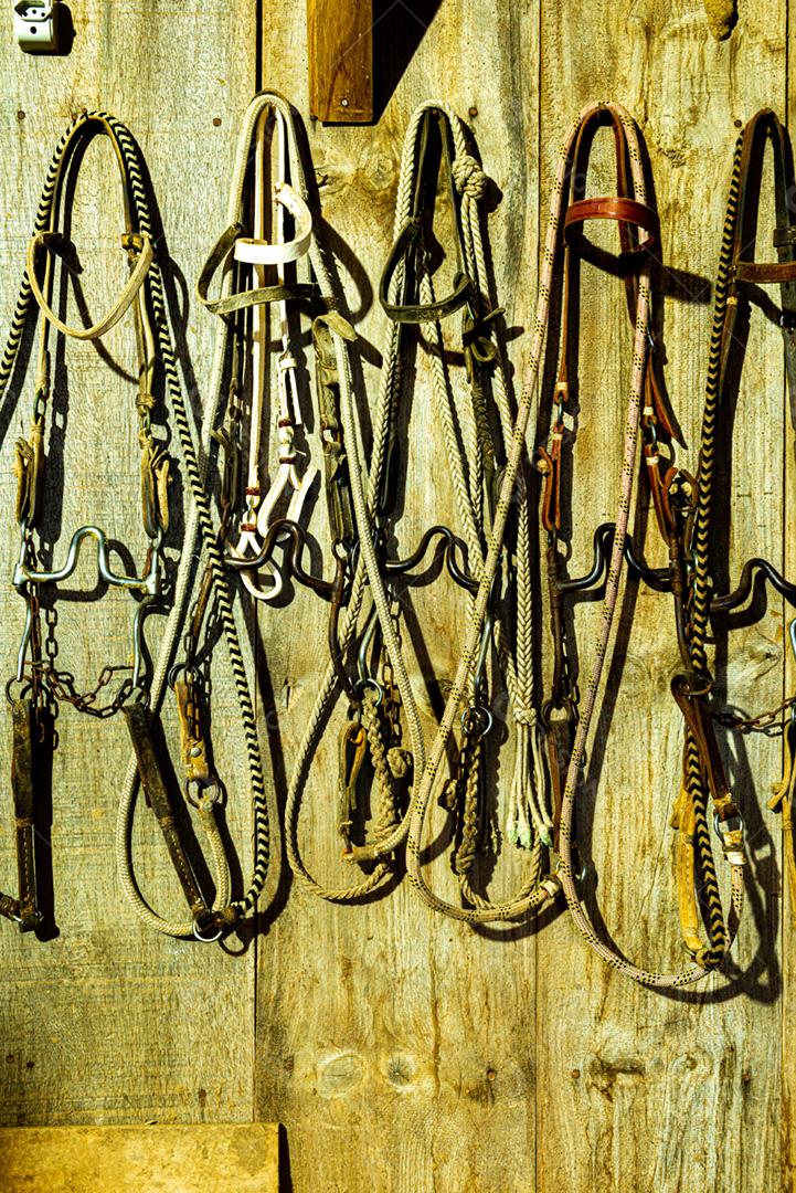 Vários acessórios para passeios a cavalo, como estribos,