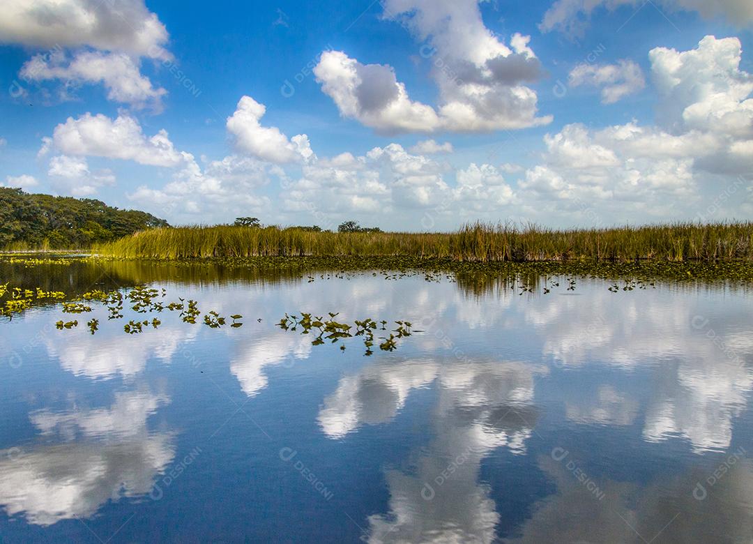 Vista do pântano com céu de nuvem refletido