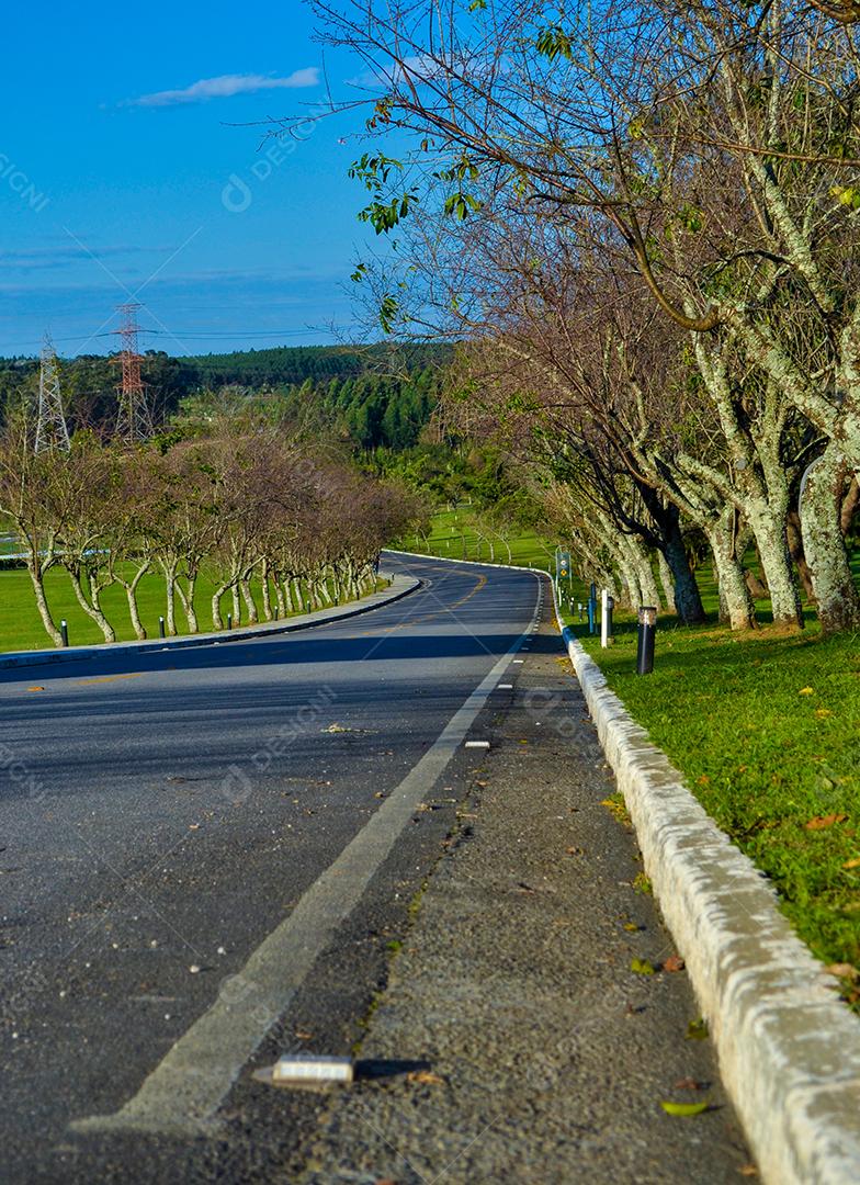 Panorama da estrada asfaltada na zona rural na ensolarada noite de outono.