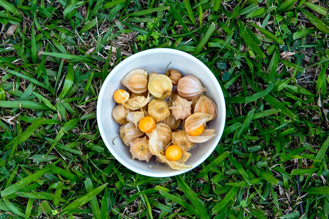 Tigela com physalis. Fundo de grama.