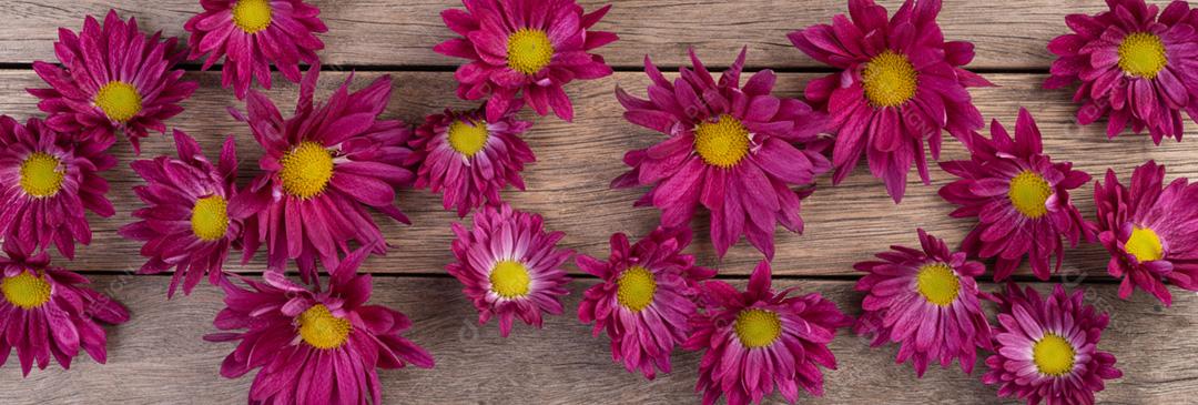 Flores roxas sobre mesa de madeira, formato panorâmico