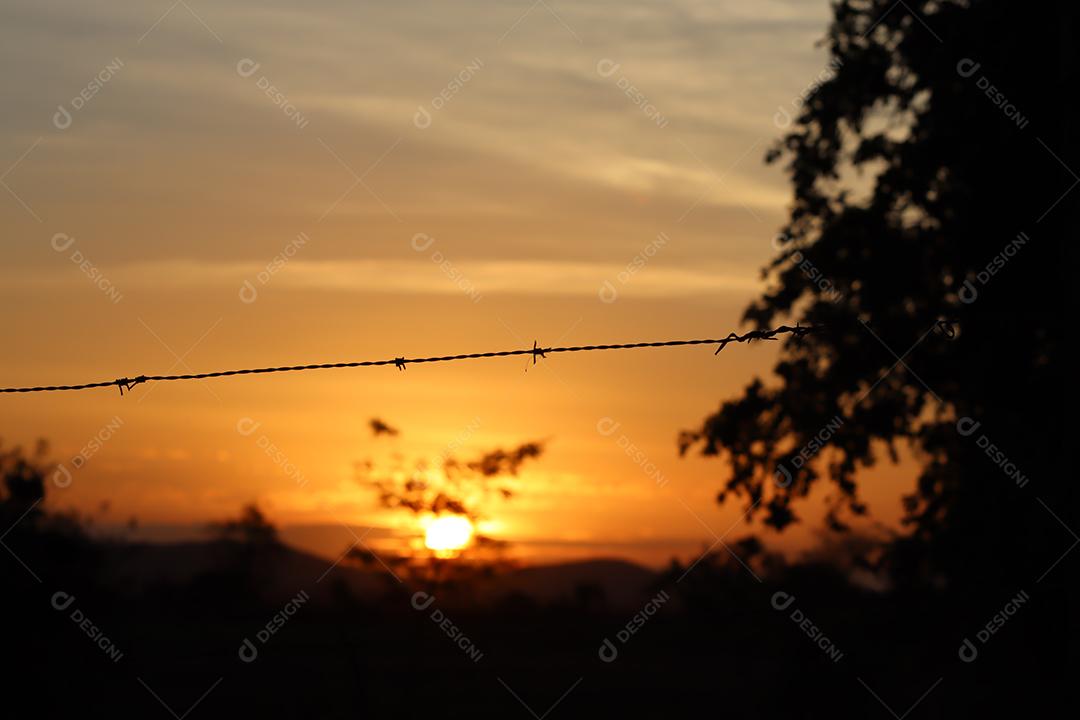 Entardecer em uma fazenda