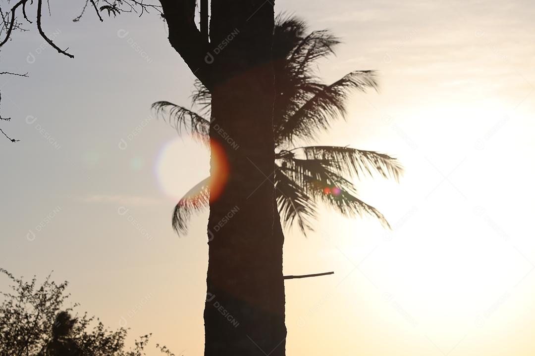 Entardecer em uma fazenda