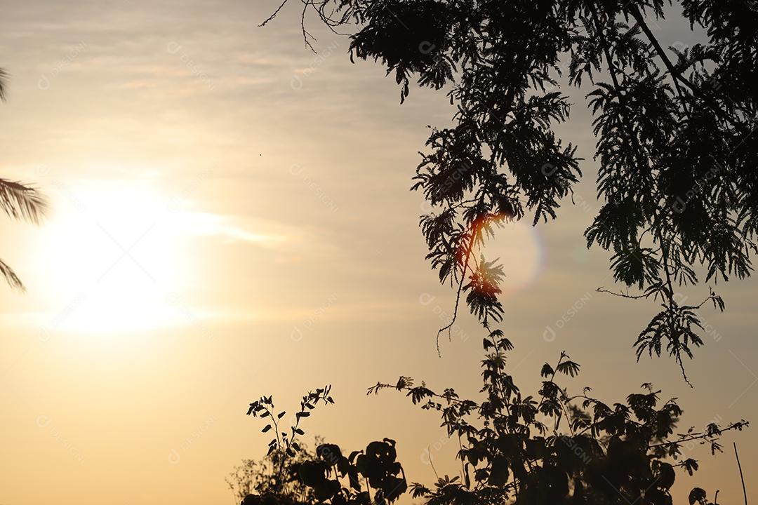 Entardecer em uma fazenda
