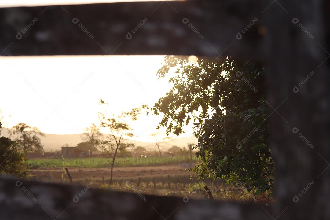 Entardecer em uma fazenda