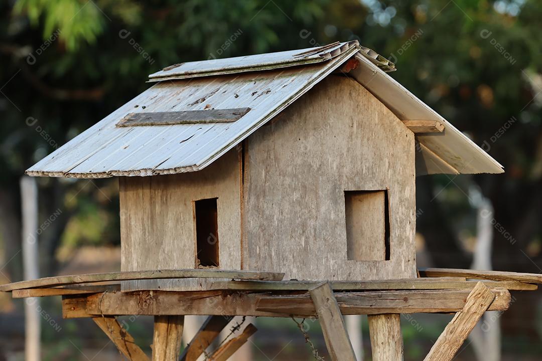 Casa de passarinhos, comedouro para passaros