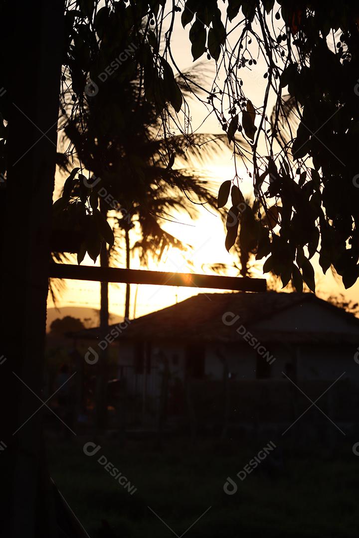 Ceu ao entardecer em uma fazenda