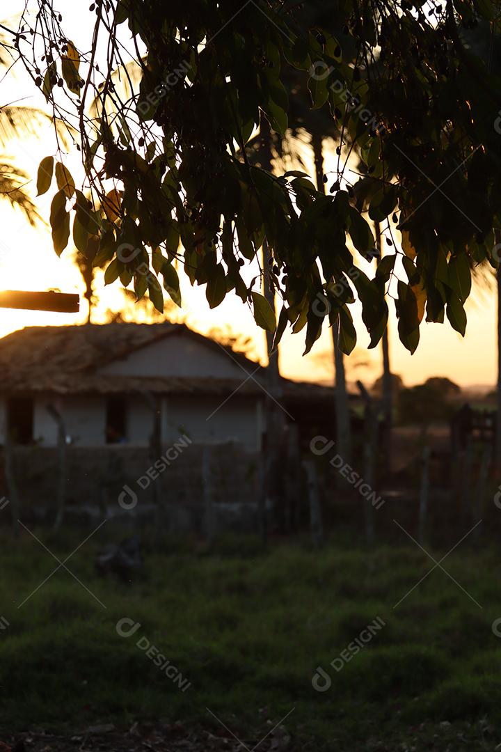 Ceu ao entardecer em uma fazenda