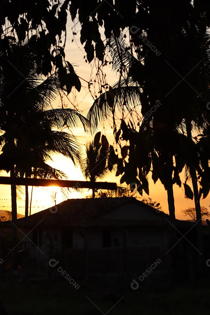 Ceu ao entardecer em uma fazenda