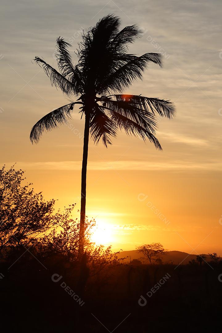 Entardecer em uma fazenda