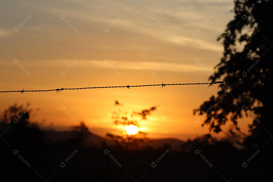 Entardecer em uma fazenda