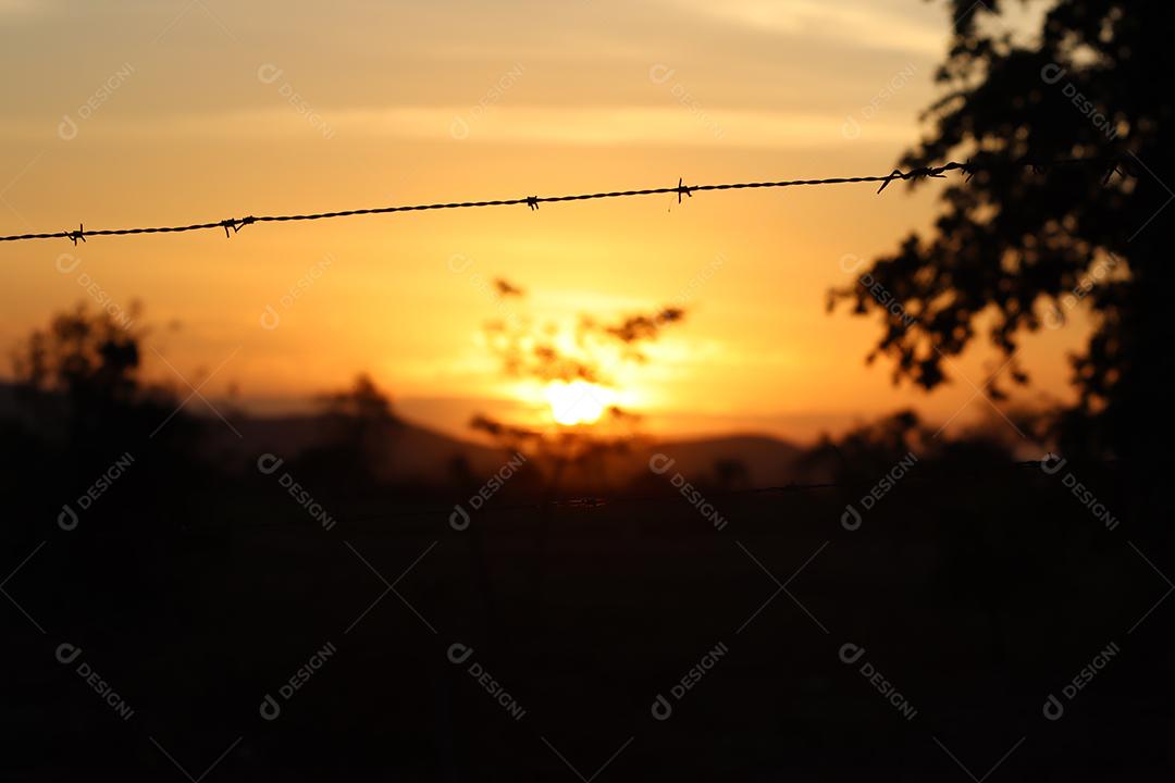 Entardecer em uma fazenda