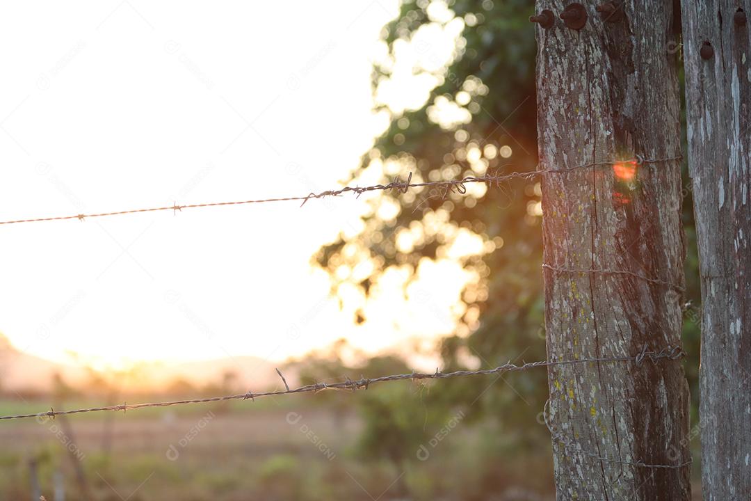 Entardecer em uma fazenda