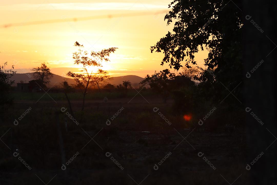 Entardecer em uma fazenda