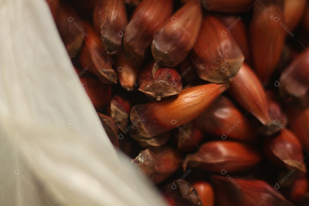 Comida fruta pilha de pinha ata árvore