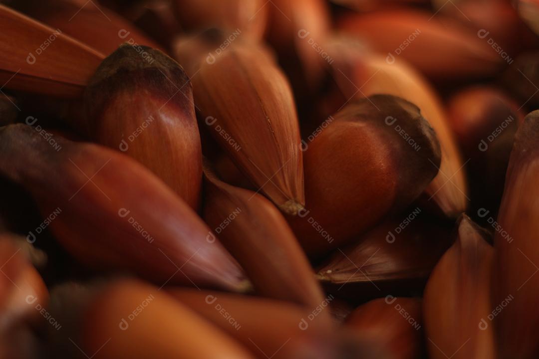 Comida fruta pilha de pinha ata árvore