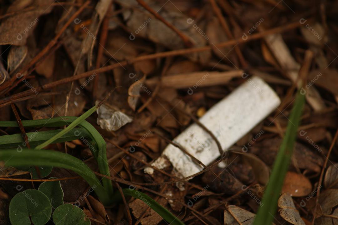 Papel branco sobre floresta folhas