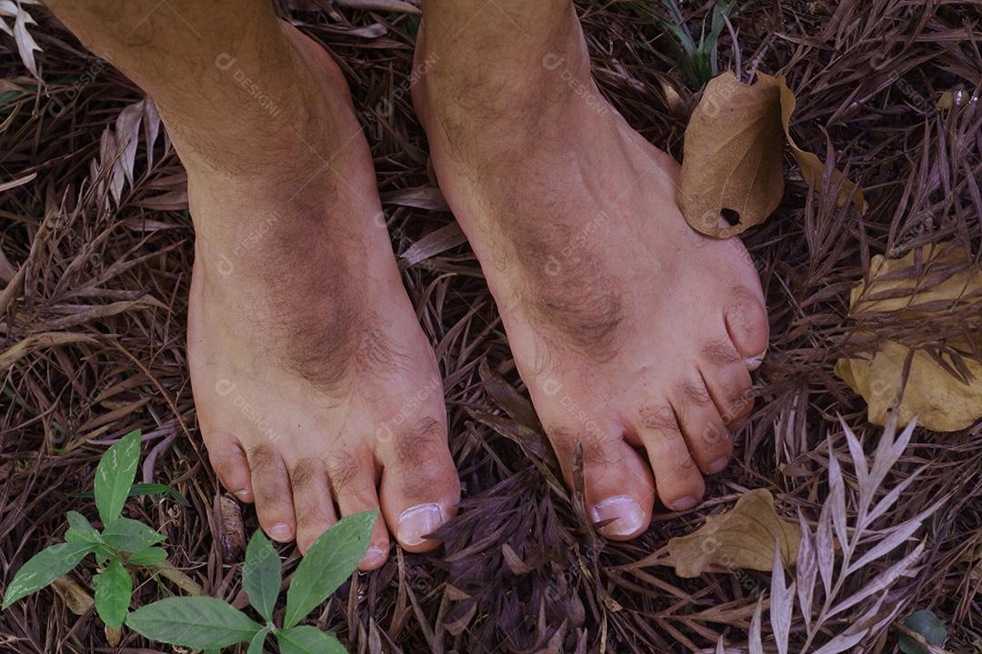 Pés de pessoas pisando sobre floresta folha secas