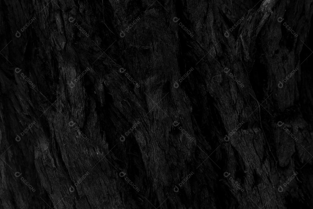 Arvore tronco madeira sobre fundo desfocado