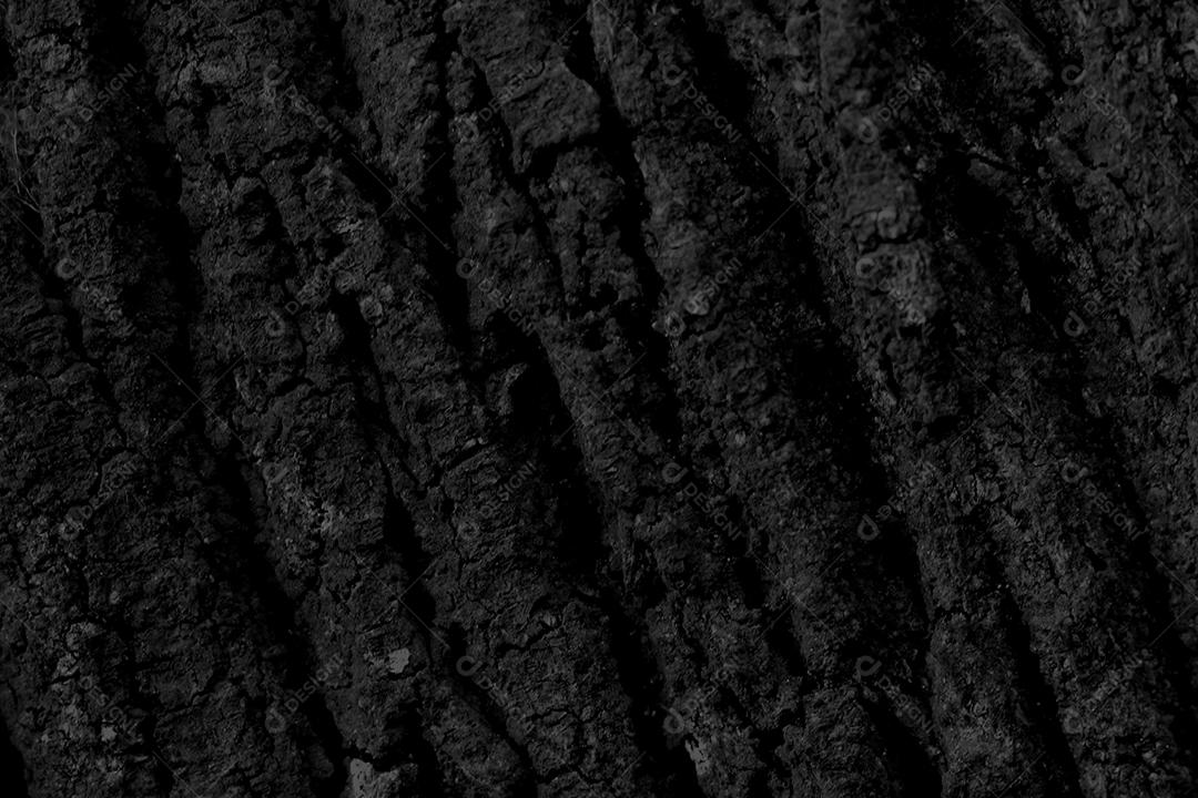 Textura Arvore tronco madeira sobre fundo desfocado