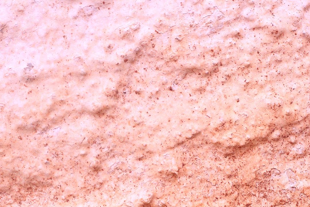 Textura de madeira com tinta branca desgastada