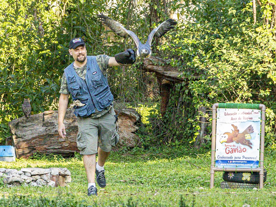 Aves passaros aguia voando sobre floresta