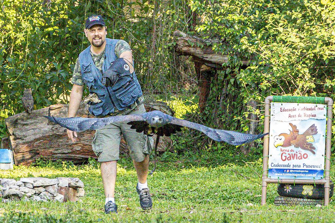 Aves passaros aguia voando sobre floresta