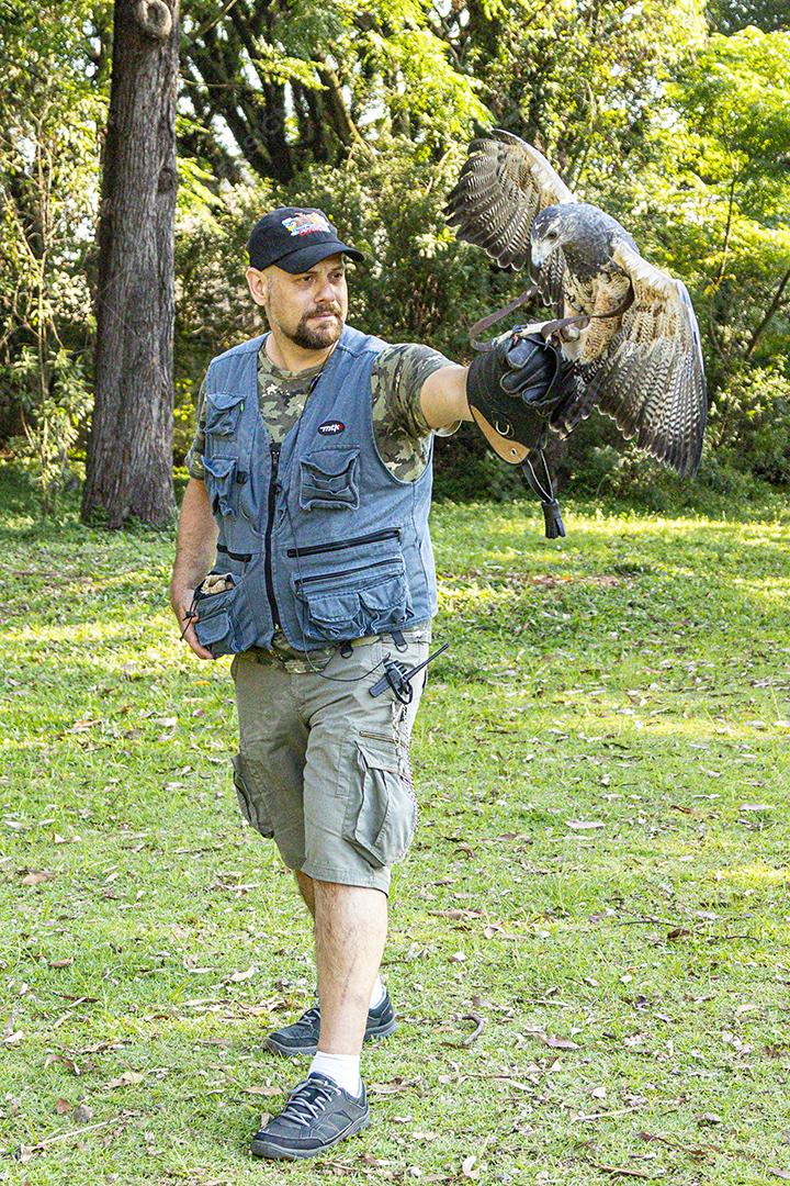 Homem segurando gavião sobre gramado