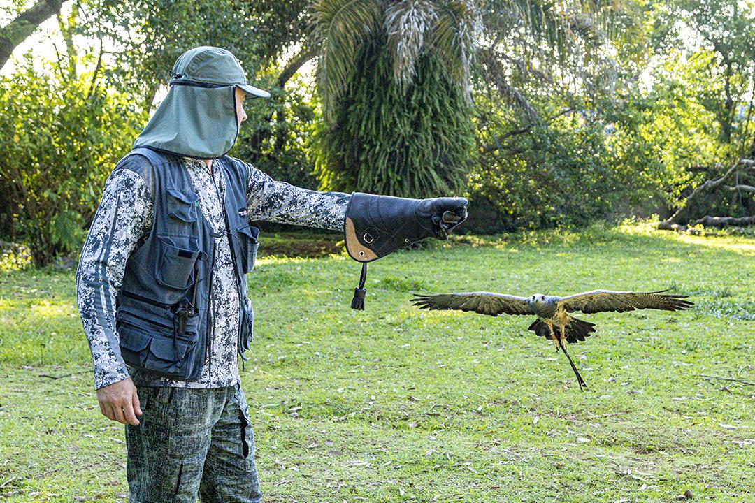Homem segurando gavião sobre gramado