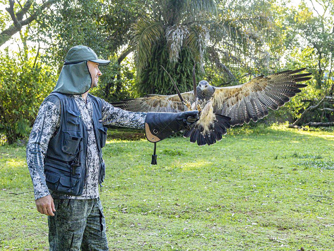 Homem segurando gavião sobre gramado