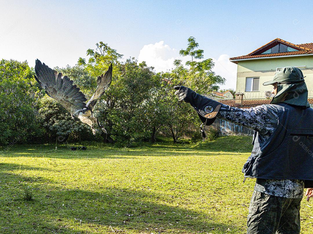 Homem segurando gavião sobre gramado