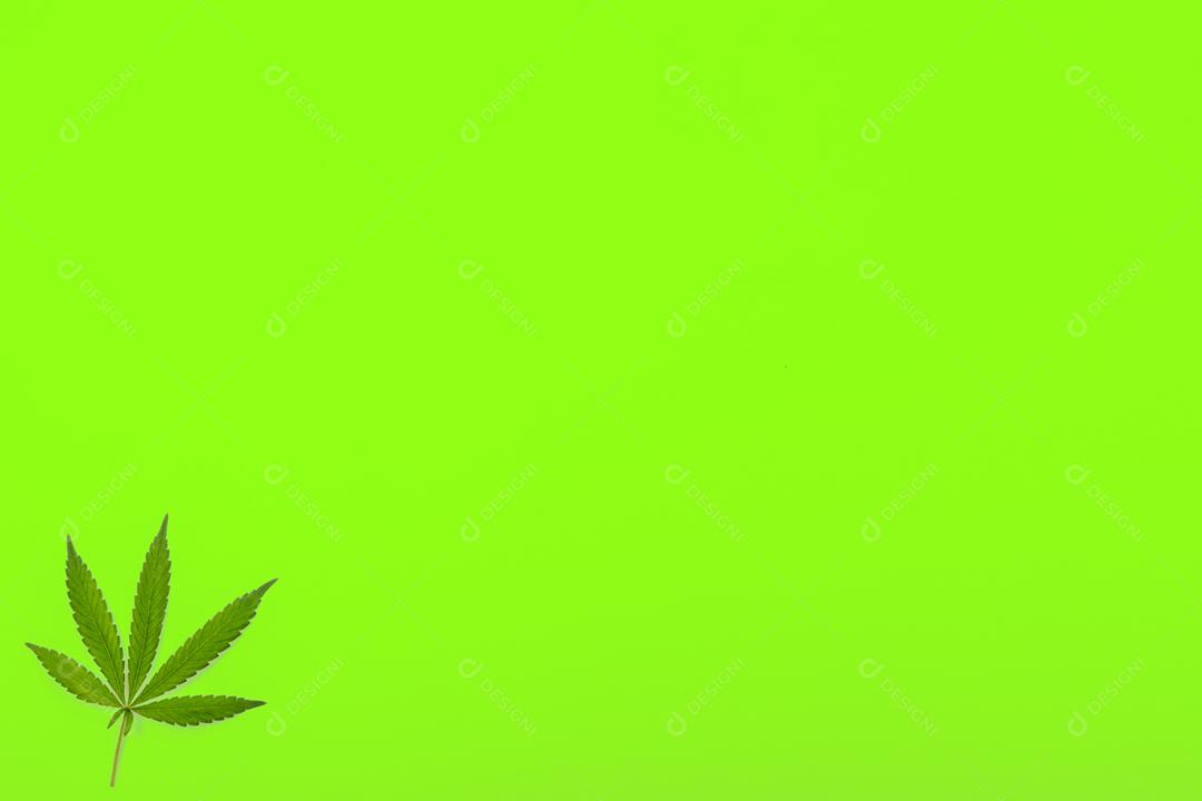 folha de maconha com fundo verde
