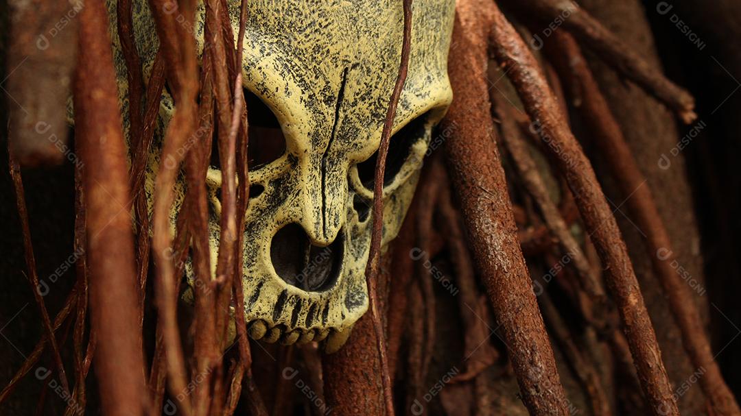 Caveira de animal sobre floresta arvore galhos