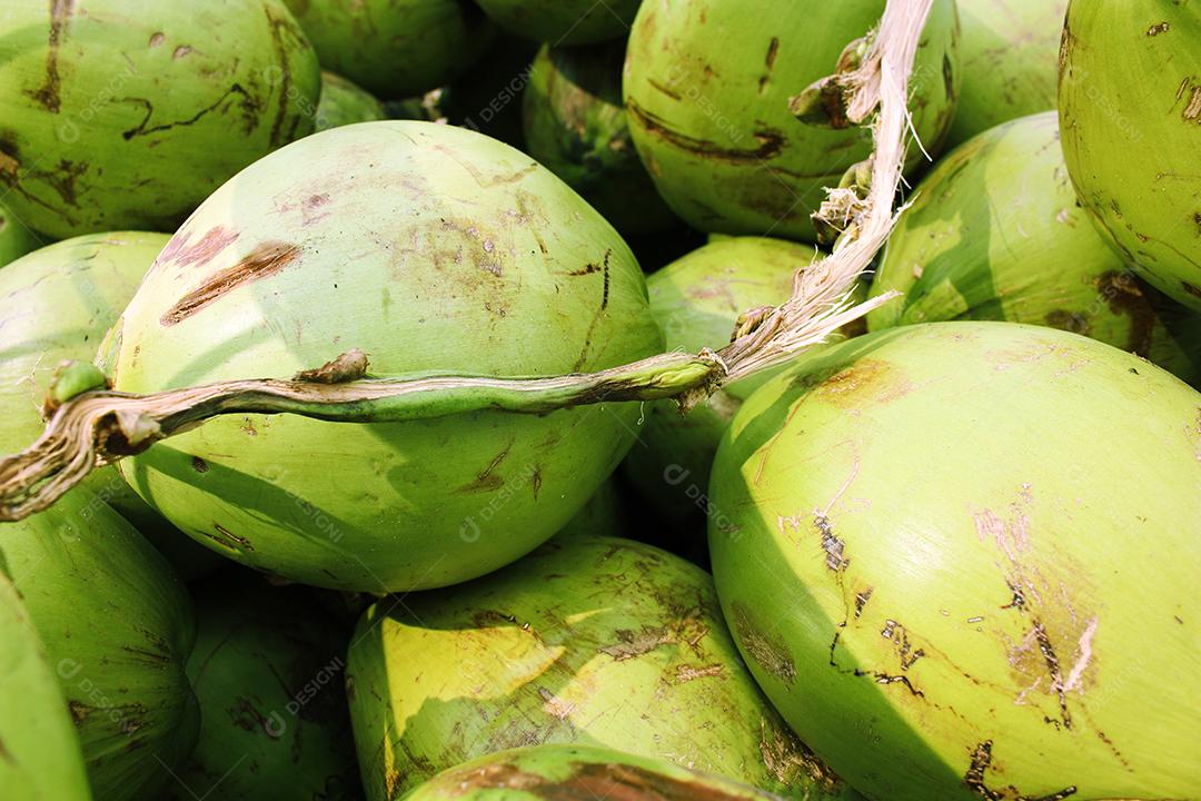 Comida fruta coco empilhados sobre pratileiras mercado feiras
