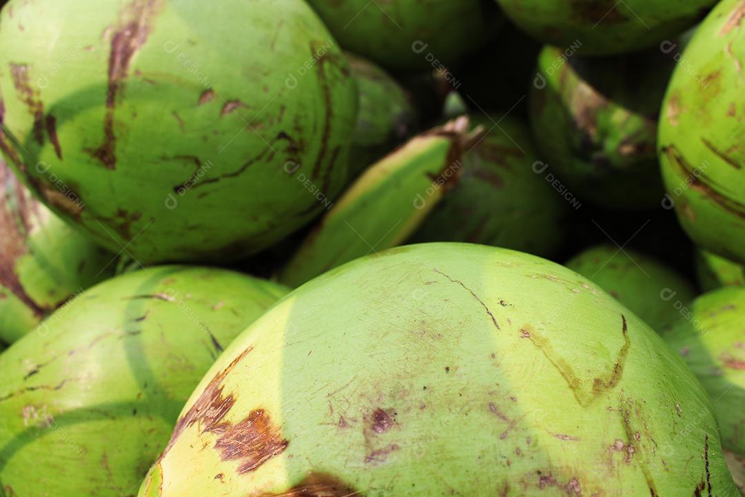 Comida fruta coco empilhados sobre pratileiras mercado feiras