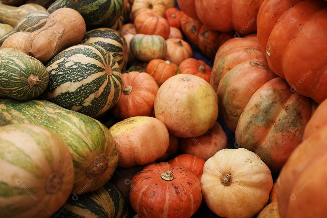 Verduras enpilhadas sobre pratileiras mercado Abobrinha abóbora